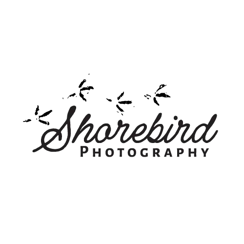 Panorama-Website-Graphic-Design-Examples-05.webp
